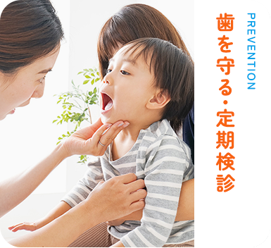 歯を守る・定期検診 PREVENTION